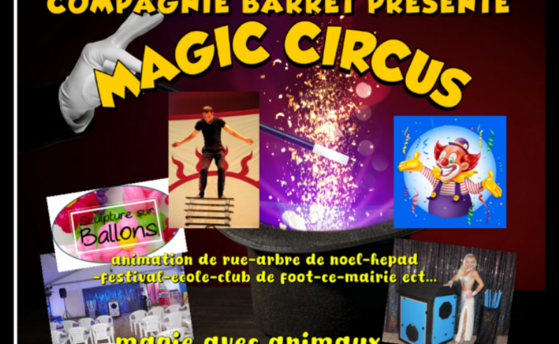 Un pianiste talentueux joue avec émotion un grand piano à queue lors d’une cérémonie de mariage, sa musique remplissant la salle d’amour classique et d’élégance.